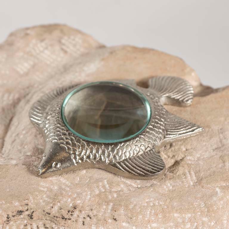 Item 2097393 - Image 0