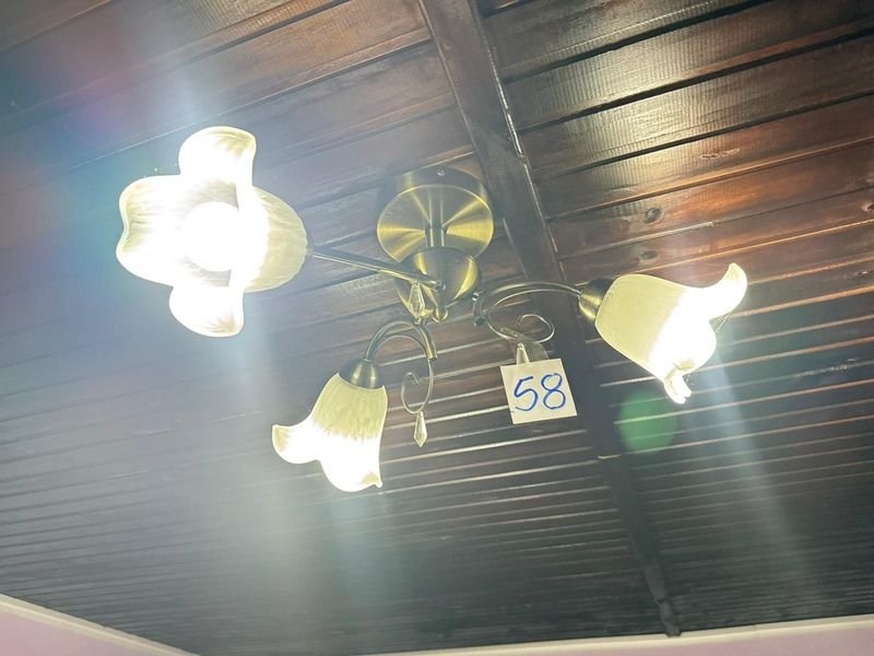 Lámparas de techo con tulipas gemelas - imagen 2