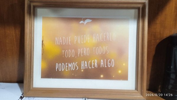 Cuadro "Nadie puede hacerlo todo, pero todos podemos hacer algo" 40x33 cm