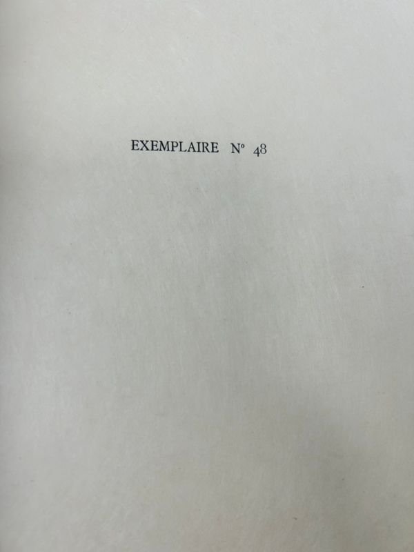 Item 924234 - Image 3