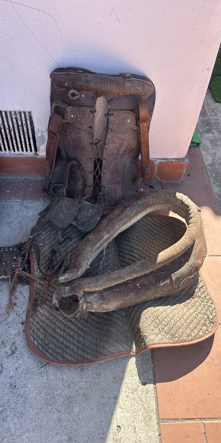 Item 63194 - Image 0