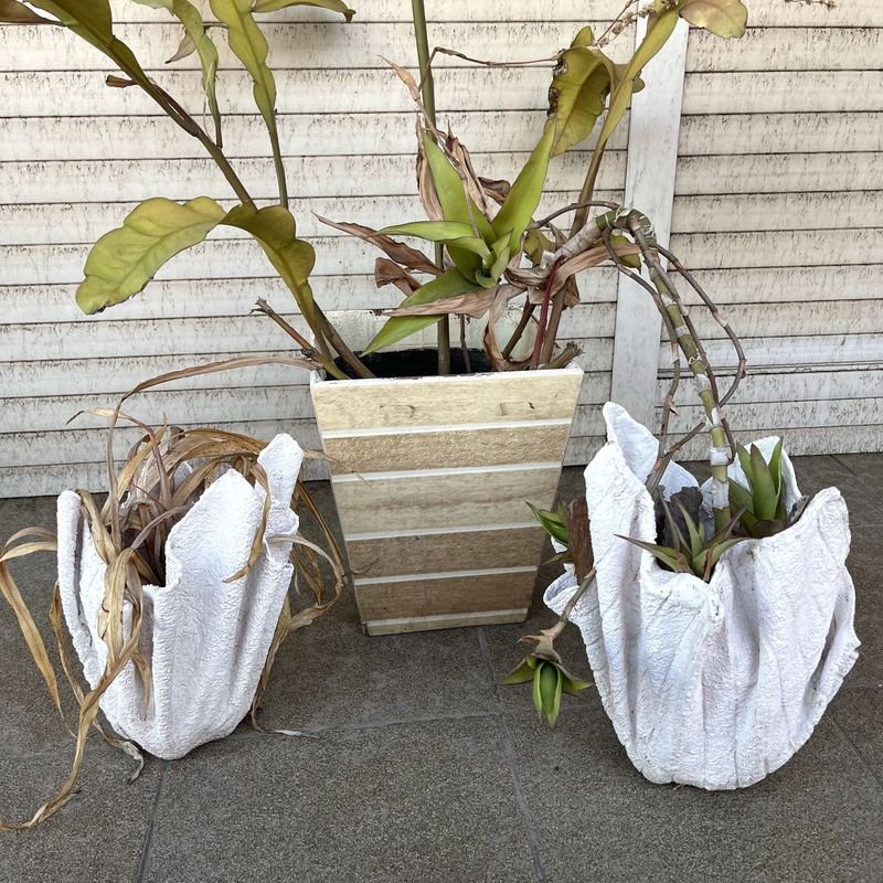 Item 895315 - Image 3