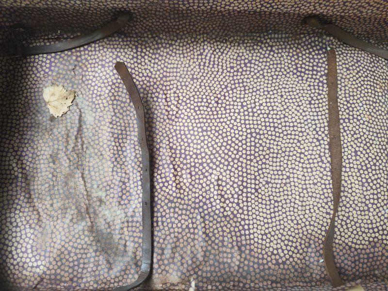 Item 878121 - Image 4