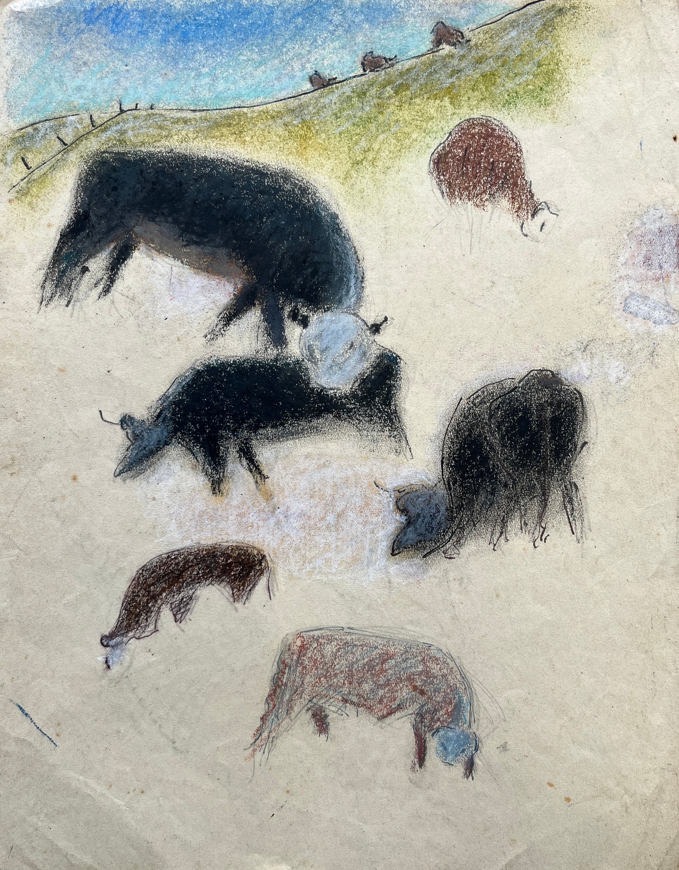 Obra de José Cuneo: "Ganado" - Pastel sobre Papel