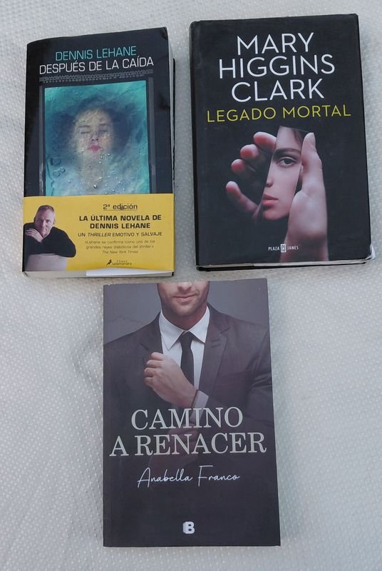 Trilogía de Libros: "Legado Mortal", "Camino a Renacer" y "Después de la Caída" - imagen 1