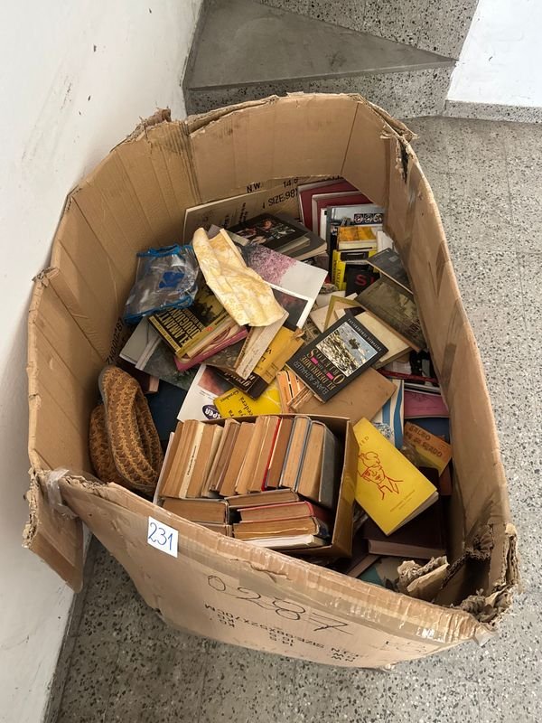 Caja con Libros Varios - imagen 1