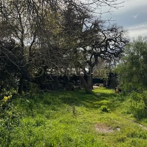 Terreno con vegetación y construcciones - imagen 2