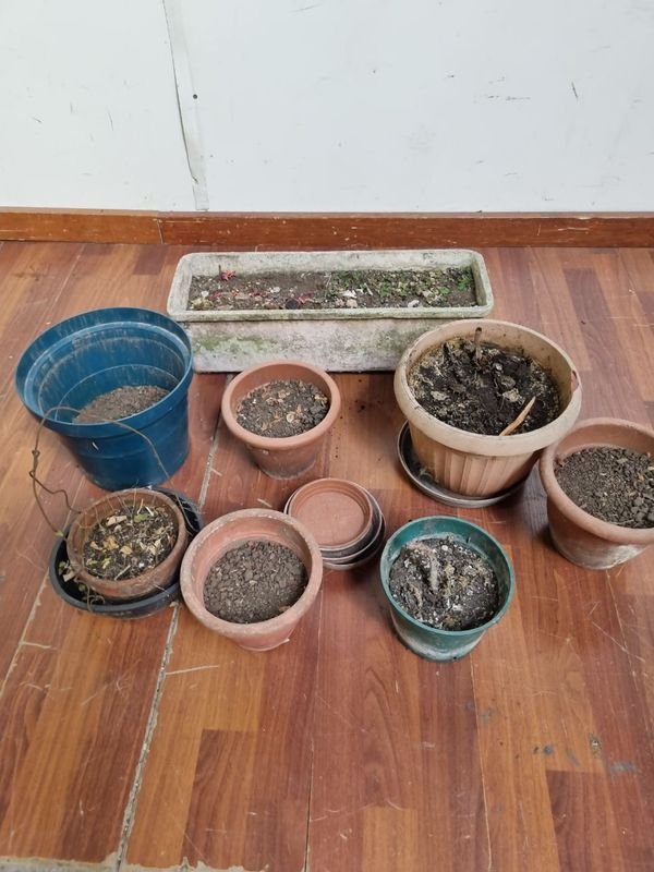 Macetas plásticas y cerámicas para jardinería - imagen 4