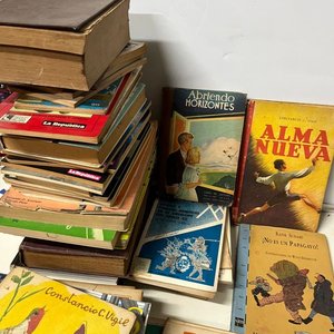Lote de Más de 70 Libros, Revistas y Varios - imagen 12