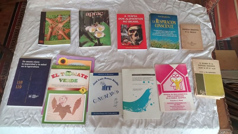 Item 891454 - Image 0