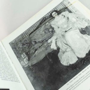 2 Tomos Historia de la Pintura Uruguaya: El Imaginario Nacional Regional y Representaciones de la Modernidad - imagen 2