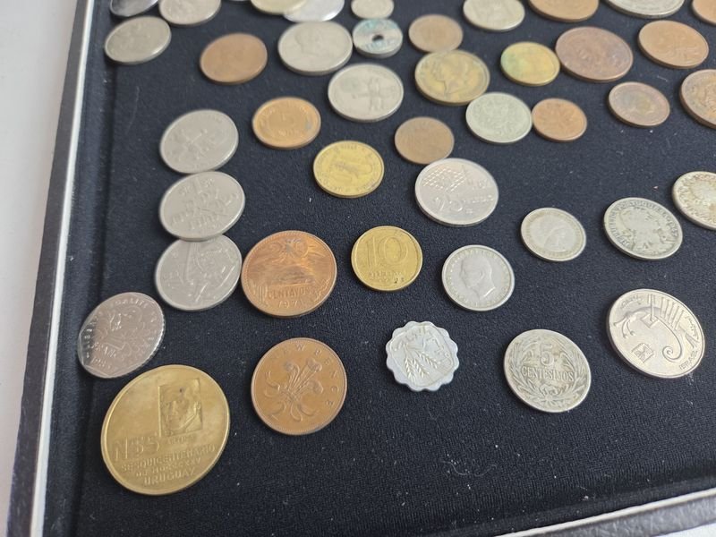 Item 872043 - Image 2