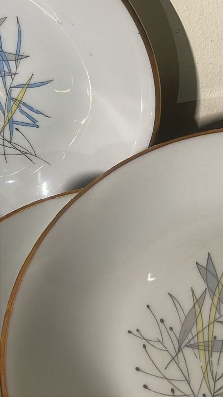 Juego de platos de porcelana fina antigüa de Brasil - imagen 4