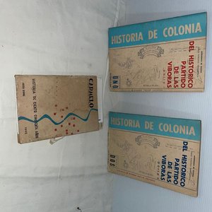 Historia de Colonia: "Del Histórico Partido de las Viboras" - imagen 2