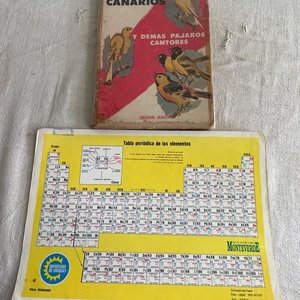 Lote anterior: Libro "Cria del Canario y Demás Pájaros Cantores y de Adorno" por Estanislao Guarro