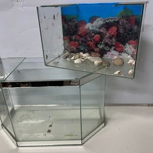 Dos Peceras de Vidrio: Hexagonal y Rectangular con Decoración - imagen 5
