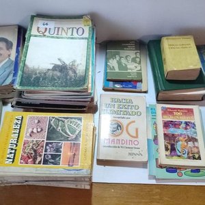 Lote de Libros de Estudio, Colecciones y Textos Varios - imagen 2