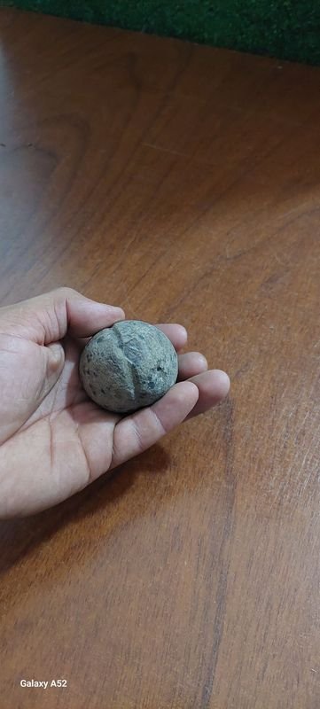 Item 900873 - Image 6