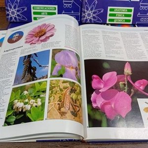 Tomos Enciclopedia Temática PEV: Arte, Biología, Ciencias y Más - imagen 5
