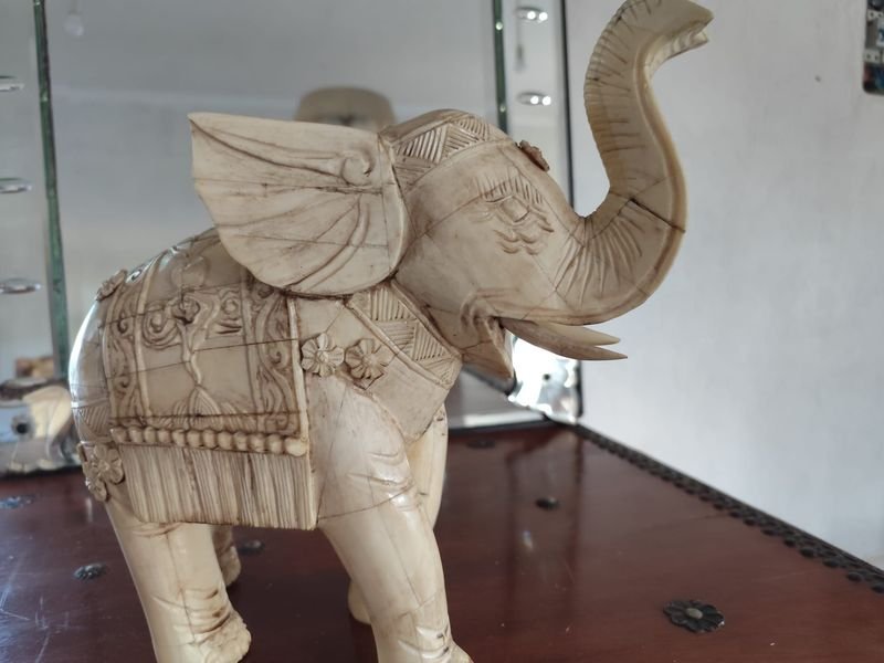 Item 908551 - Image 1