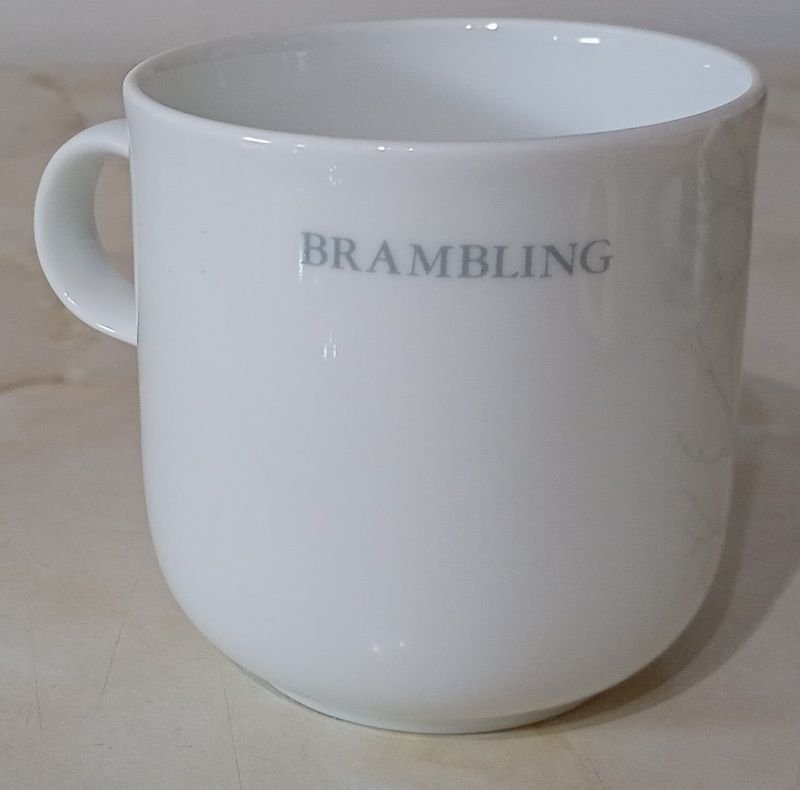 Taza y platillo de Porcelana JAPONESA, marca HOYA - imagen 4