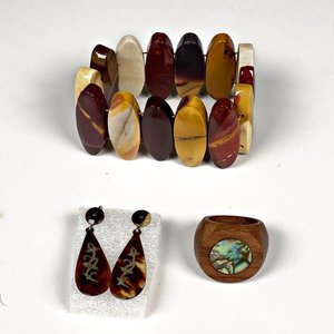 Conjunto de Joyería: Brazalete, Anillo y Aretes de Carey y Plata - imagen 1