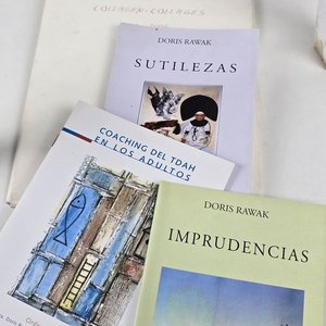 Obras de Doris Ryffel-Rawak: Pinturas, Folletos y Catálogos - imagen 9