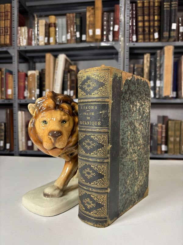 Lote anterior: Tratado de Botánica en Francés 1874 - Libro antiguo con estatua de león
