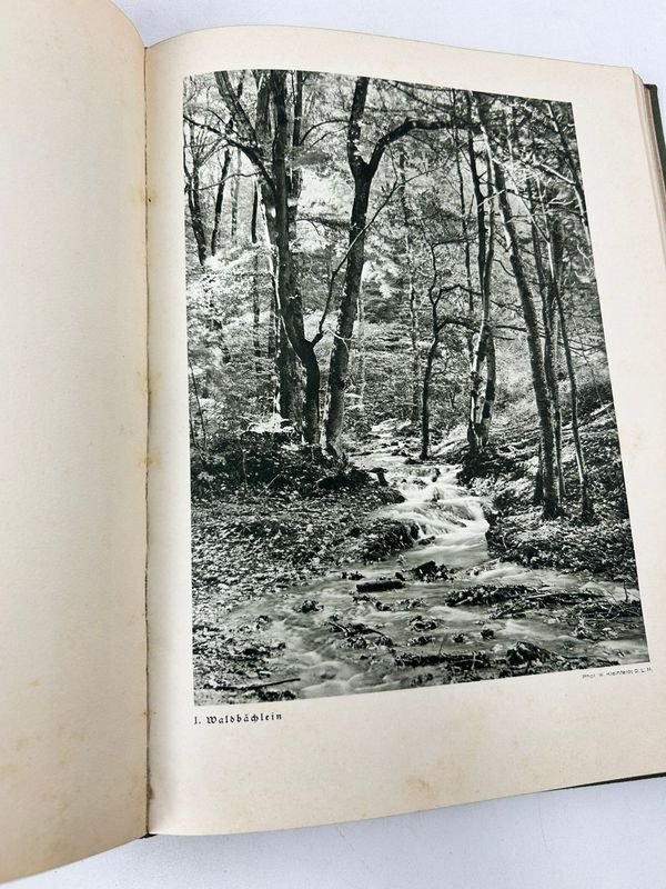Libro sobre naturaleza y vida silvestre, Bosque y pradera, de Paul von Tschudi - imagen 3