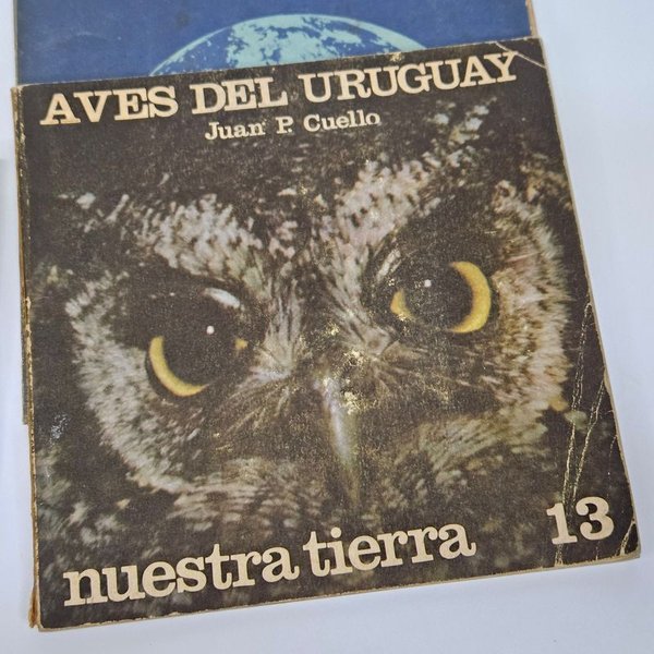 Libros sobre temas del Uruguay - imagen 6