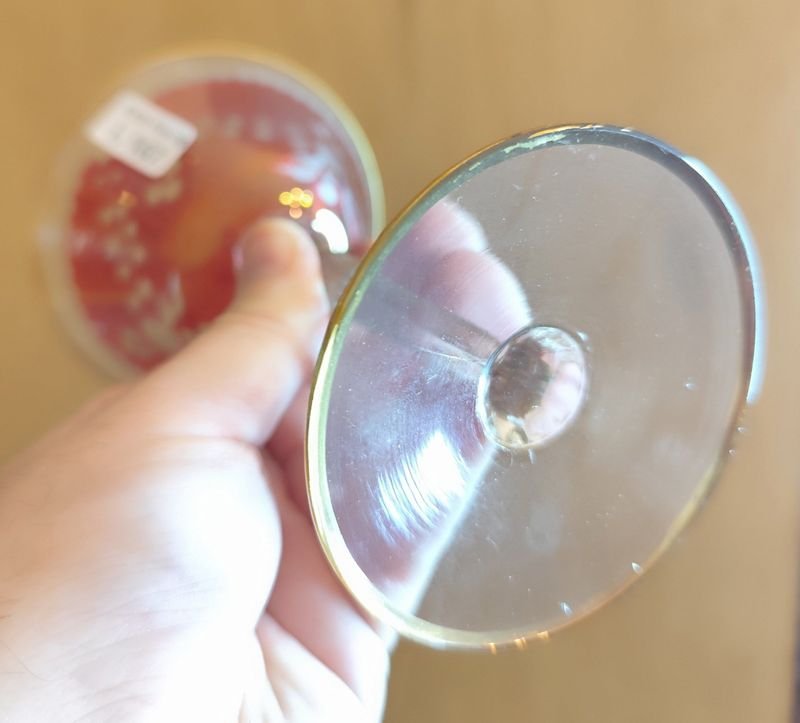 Item 880382 - Image 5