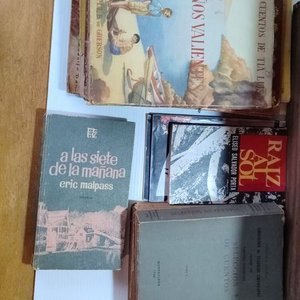 Lote de Libros de Estudio, Colecciones y Textos Varios - imagen 12