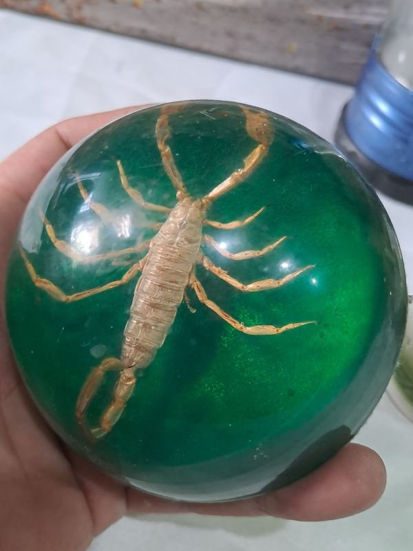 Item 868905 - Image 1