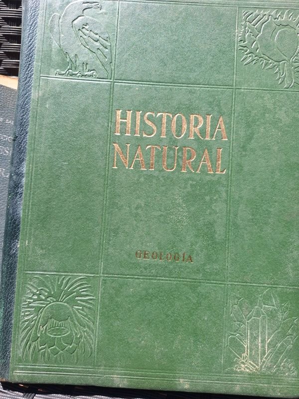 Item 873761 - Image 2