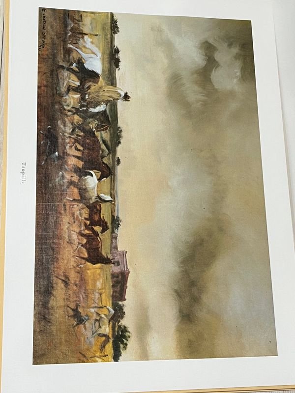 Item 853322 - Image 7