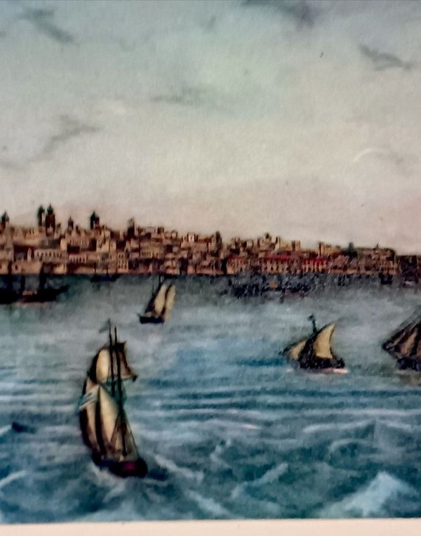 Litografía histórica de Montevideo por L. Wiegeland (1866) - imagen 9
