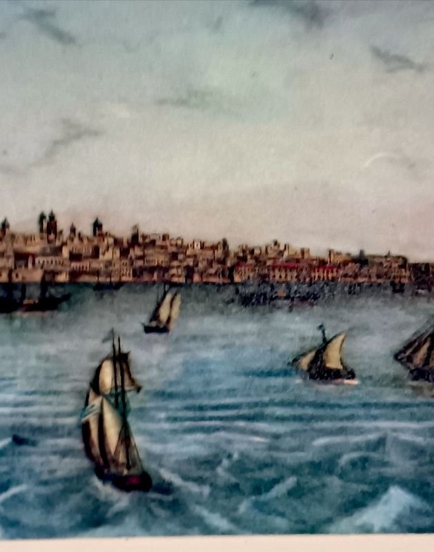 Litografía histórica de Montevideo por L. Wiegeland (1866) - imagen 9