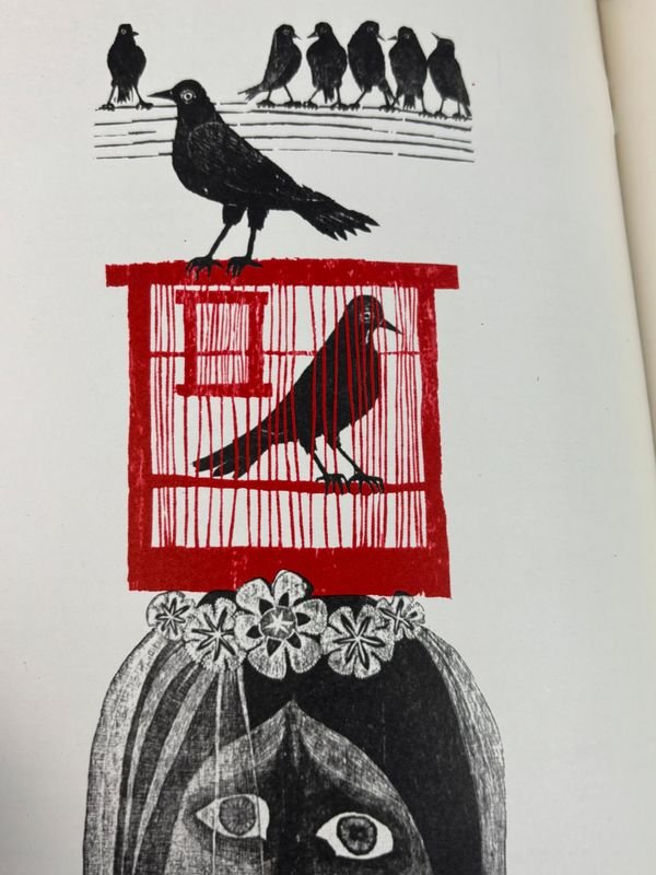 Colección de libros sobre arte y diseño: catálogos, pintura contemporánea y patrimonio cultural - imagen 8