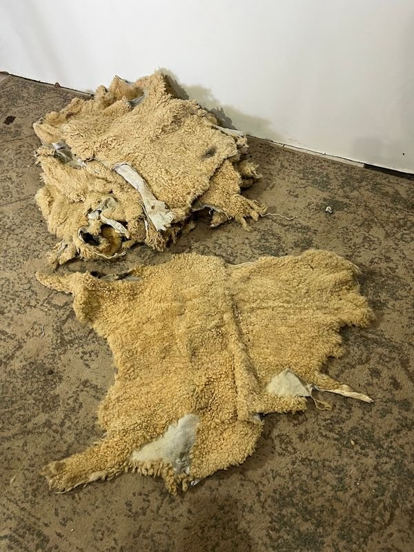 Item 848650 - Image 1