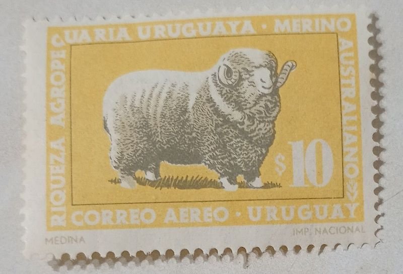 Item 855190 - Image 0