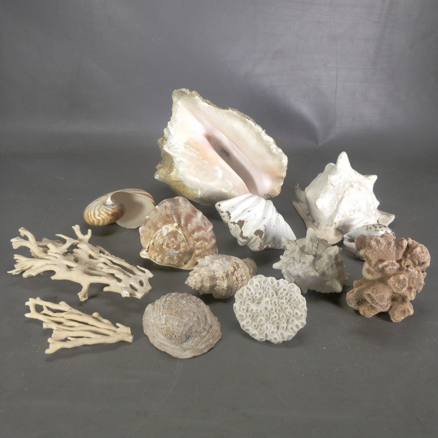 Item 15838 - Image 1