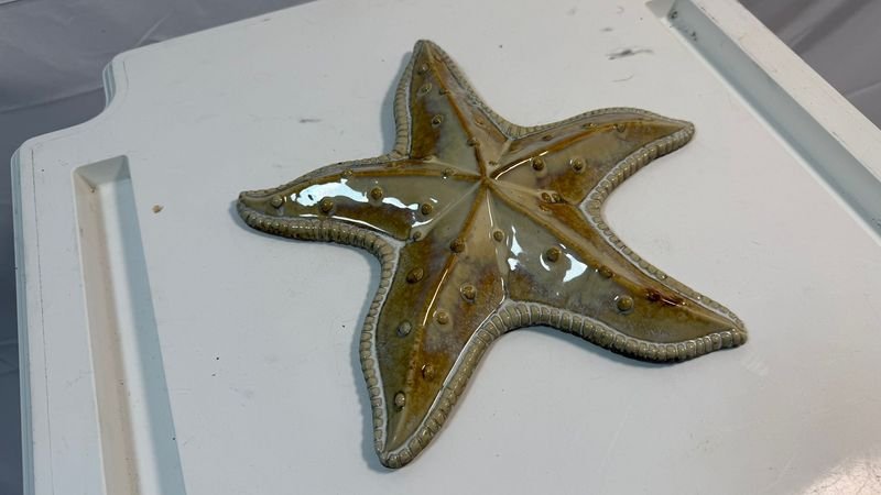 Porcelana Estrellada con Star y Starfish - imagen 2
