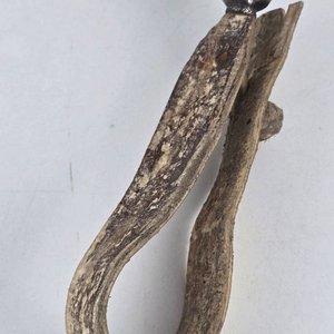 Cabezada de Caballo Antigua con Detalles en Plata - imagen 5