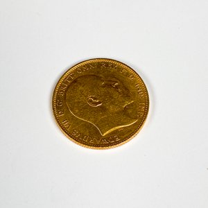 Libra Esterlina de Oro Británica 1903 - 8 Gramos - imagen 3
