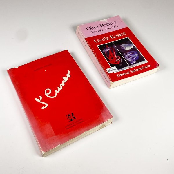 Dos Libros: "L' Cuneo" de Raquel Pereda y "Obra Poética" de Gyula Kosice
