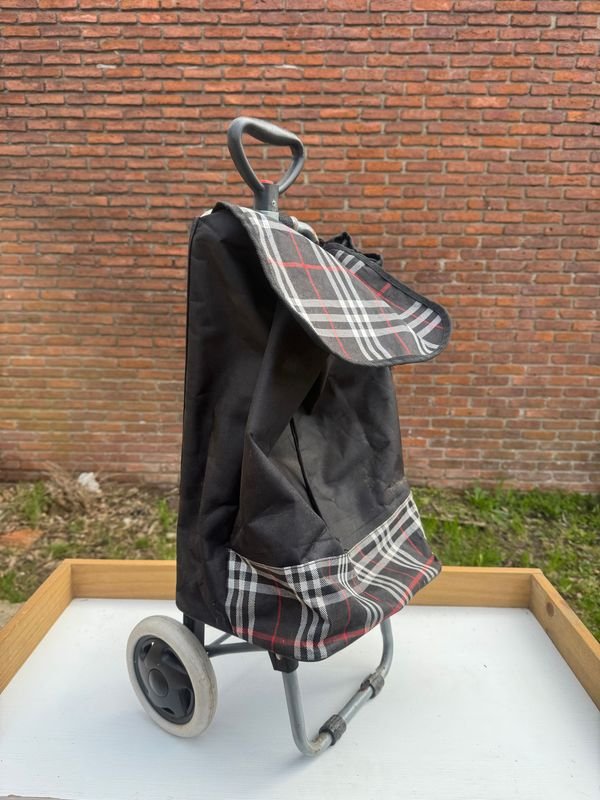 Carrito de Compras Plegable con Diseño Cuadros - imagen 1