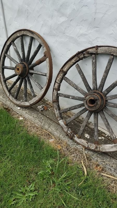 Item 908565 - Image 1