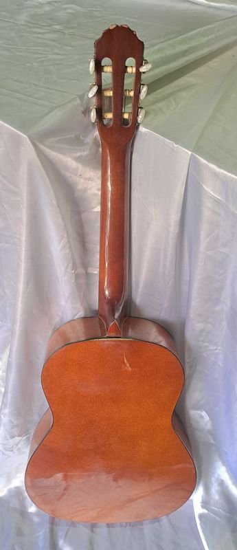 Guitarras Clásicas Memphis con Buen Sonido - imagen 5