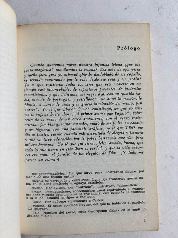 Colección de libros en español de autores latinoamericanos - imagen 16