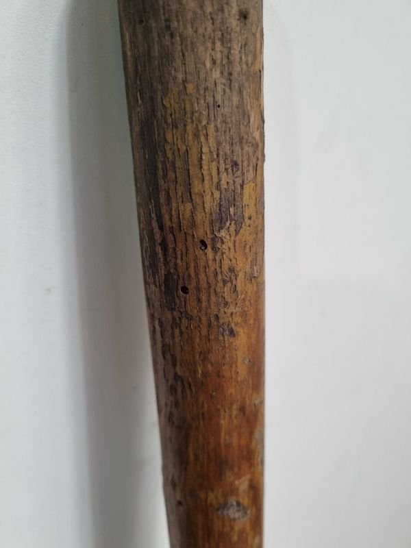Remos antiguos en roble para deportes - imagen 4
